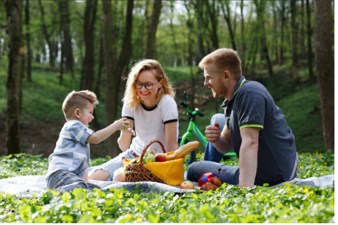 Городской пикник - фото: freepik.com